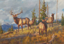 Wildlife Artists Gather in Charleston