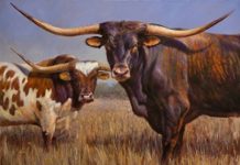 February 20: William Suys at the Marshall Gallery