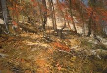 May 30: Lynn Boggess Landscapes