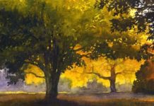 Featured Artwork: Susan Lynn