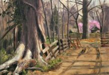 EXHIBITION: “Point of Color: The Wisconsin Plein Air Painters Association Juried Show,” at the Monroe Arts Center