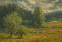 EXHIBITION: “Painting Ohio Prairies,” at the Springfield Museum of Art