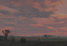 March 7: James Winn Landscapes