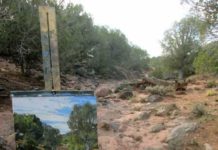 What the Rocks Tell Us: Support Your Local Geology