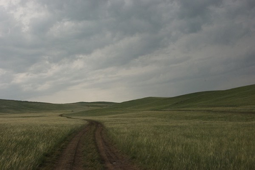 Earth road in Mongolia’s steppe region