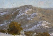 Artist as Collector: Kat Ring