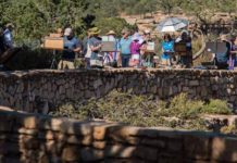 Art as Grand as the Grand Canyon at 2015 Celebration of Art