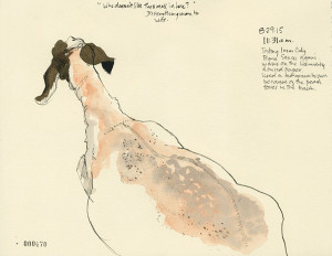 Urban Sketchers: Sketching Animals Wild and Familiar - OutdoorPainter