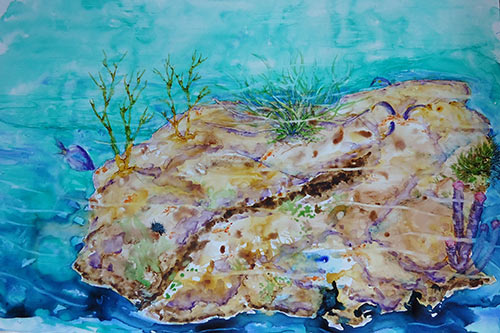 “Tang Fish Feeding,” by Bonnie Richardson, watercolor, 17 x 26 in.