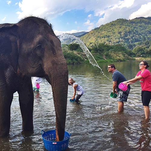 The Orwick family takes a break to wash elephants in Chiang Mai, Thailand.