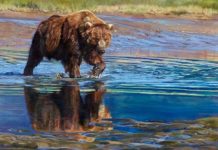 Bears and Elephants, Painted En Plein Air