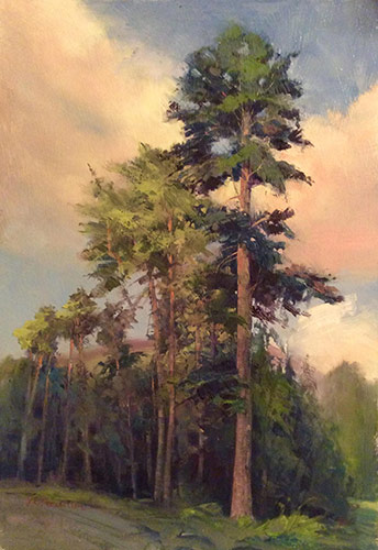 “Magnificent Pines Near Gairlochy, Scotland,” by Jan Norsetter, 2015, oil, 10 x 7 in.