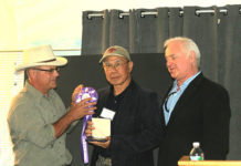 Winners in Historic Bucks County