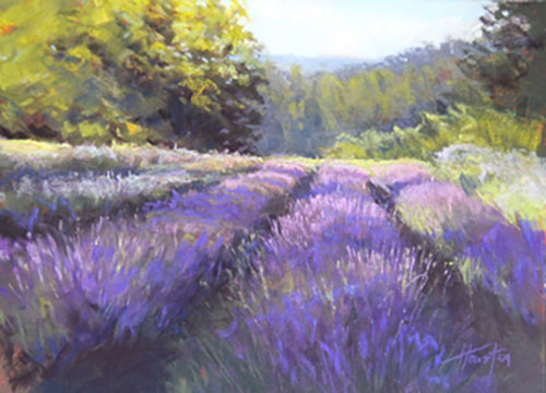 “Lavender Shadows,” by Amanda Houston. Second Place