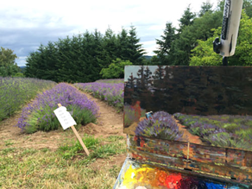 Boylan’s setup at the Willamette Valley Lavender Paint Out