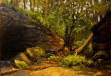 EXHIBITION: Rick Wilson, in Fort Wayne, IN