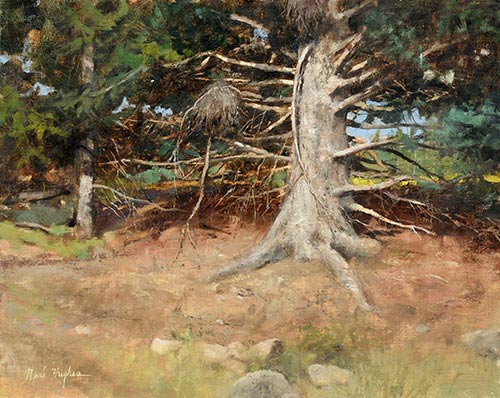 “Old Pine,” by Neal Hughes, 2016, oil, 16 x 20 in. First Place and Artists’ Choice