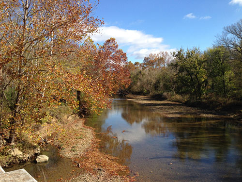 The Harpeth River near my home. Photo courtesy Harpeth River Watershed Association