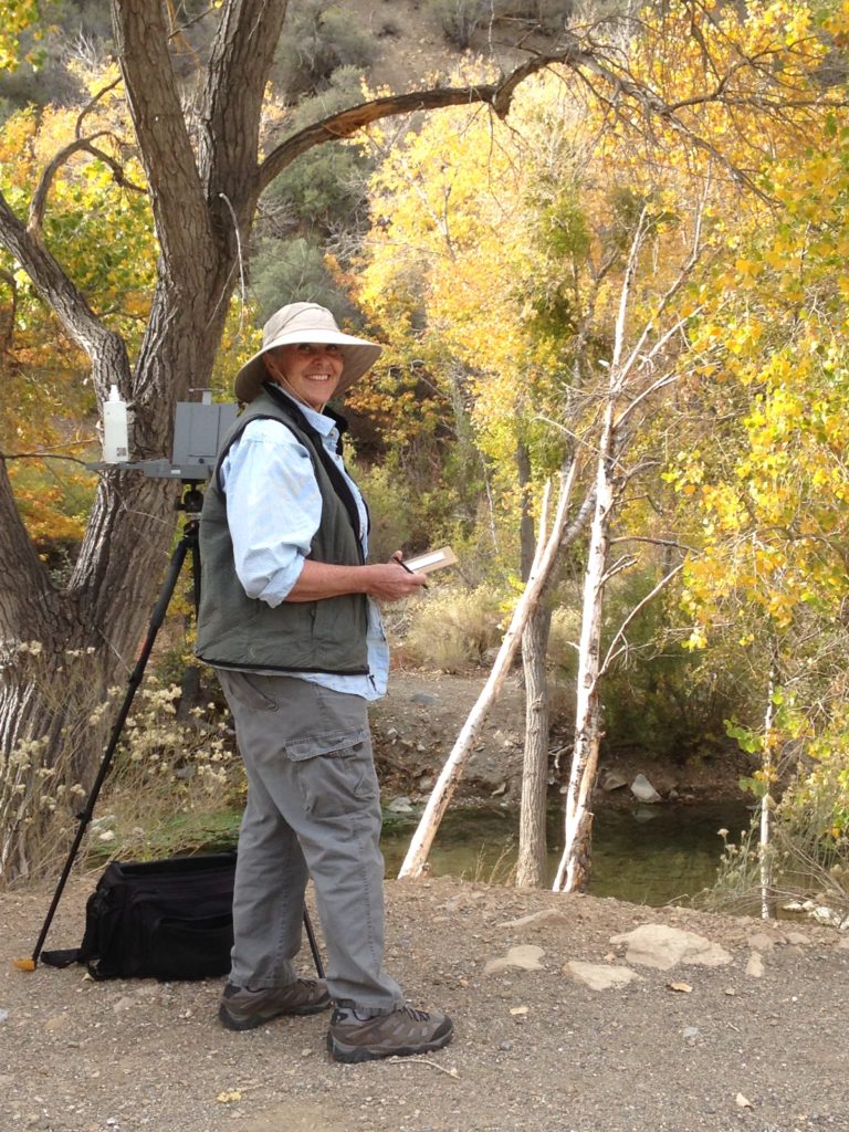 Debbie Nelson painting the fall color in Valyermo, CA