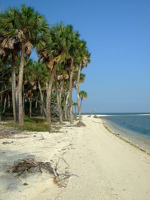The beach on St. Vincent Island