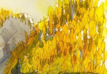 When a Watercolorist Has a Background in Stained Glass