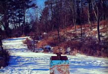 Winter Wishes, From Us and From New Hampshire
