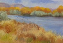 EXHIBITION: Julane Jensen in Albuquerque