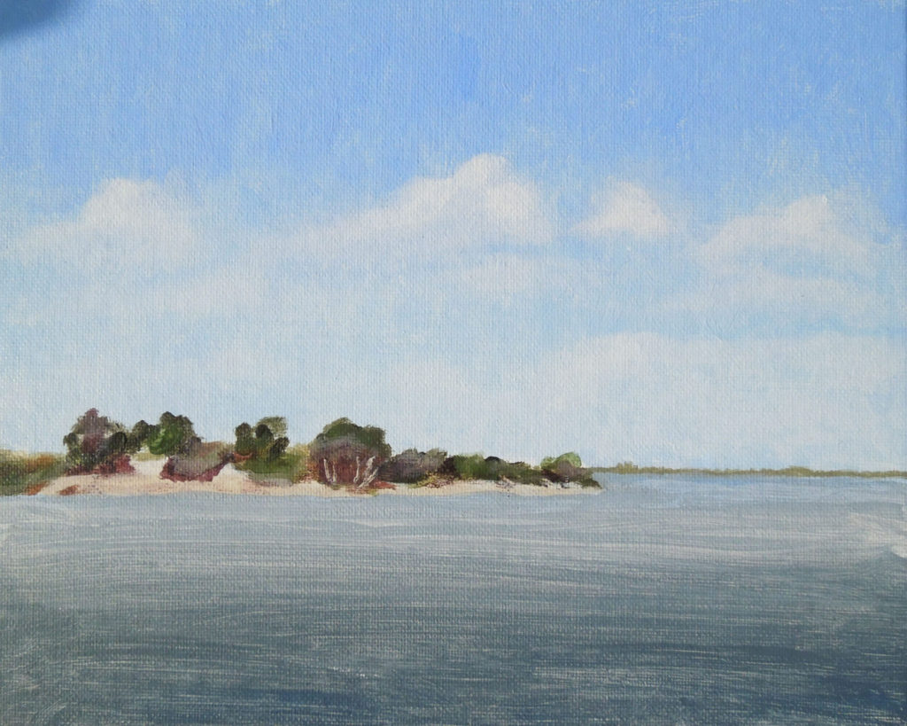 One of Osborne’s acrylic color studies from Crystal River 