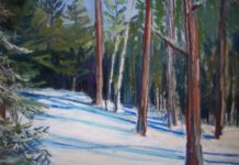 What It Takes to Paint Snow in Northern Ontario