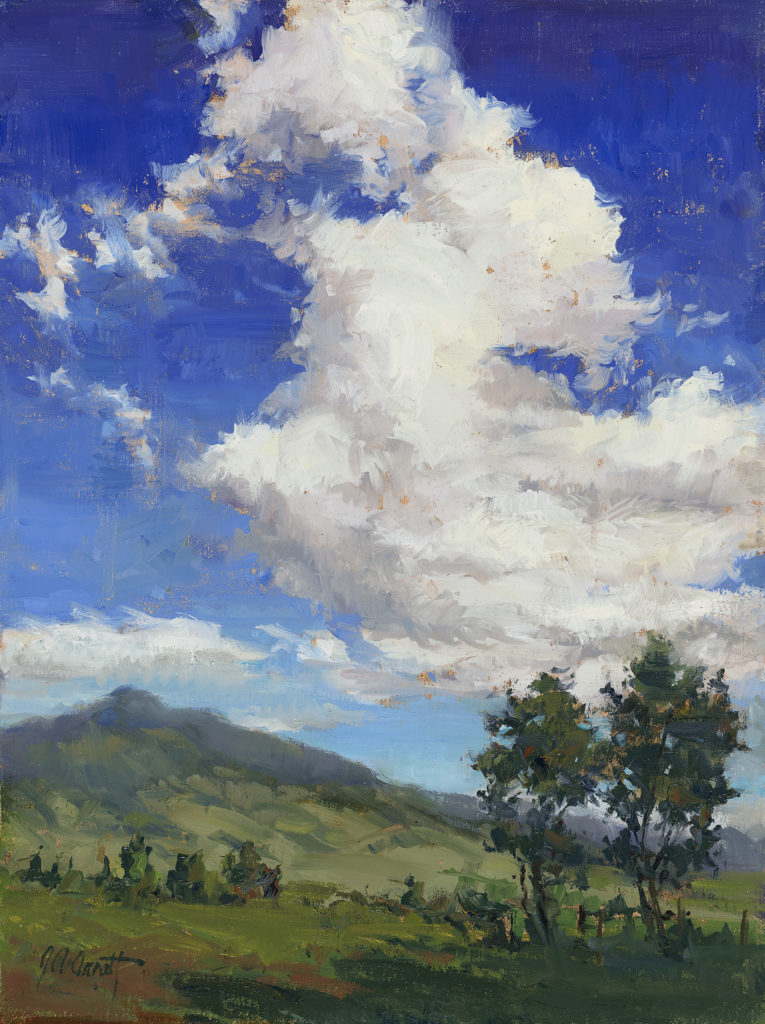“Andean Sky, Ecuador,” by Joe Anna Arnett, oil