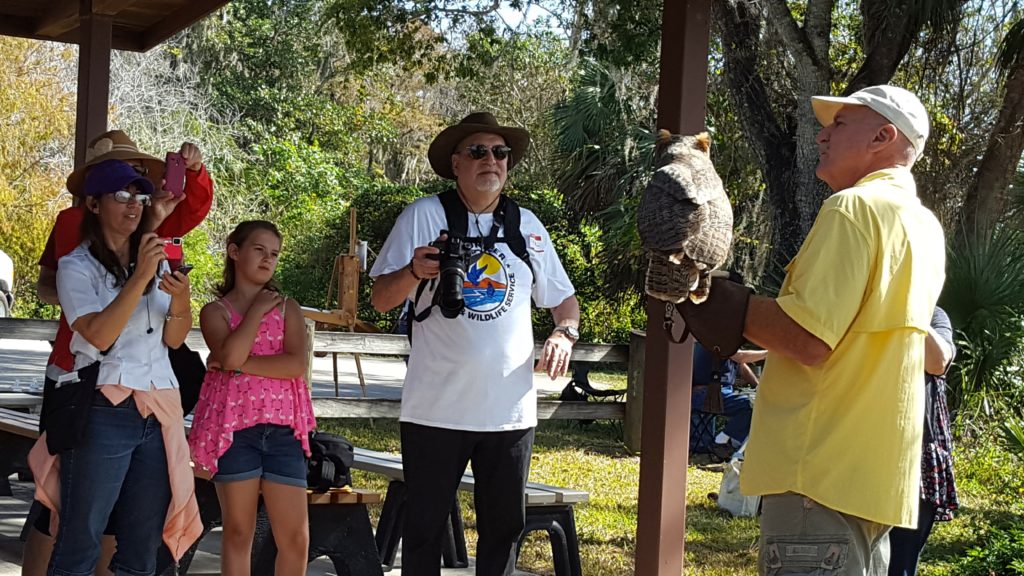 Artists and other visitors had the chance to see animals from the Everglades, such as this owl.