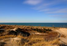 OPPORTUNITY: Head to the Indiana Dunes