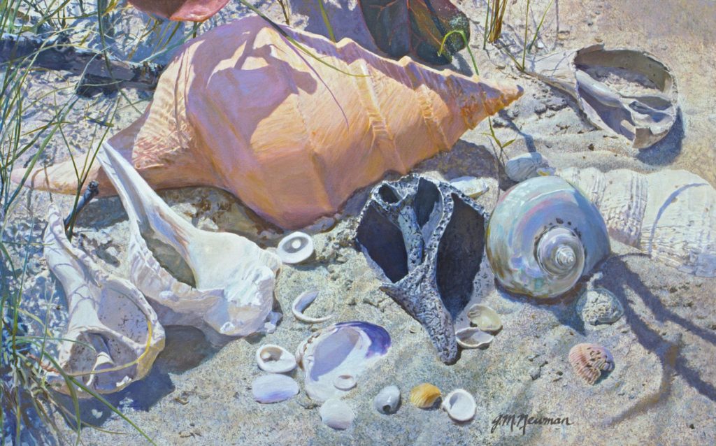 “Australian Trumpet Beach Party,” by James Newman, acrylic, 30 x 48 in. Best Outdoor Still Life