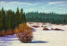 My Favorite Place to Paint: Monika Johnson’s High Desert Meadow