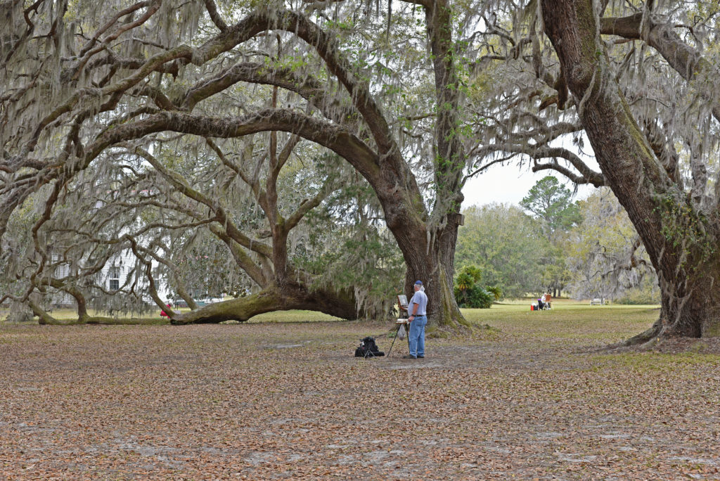 Giant live oaks provide shade for the artists at the Plein Air Affair. Photo by Troup Nightingale