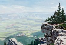 Why This Works: Muted Chroma, Powerful Values