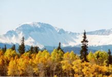 OPPORTUNITY: Small-Town Colorado, Big Prospects