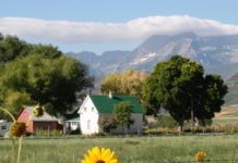 OPPORTUNITY: Utah? Fall? Yes — Please!
