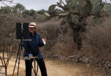 Light Like No Other I Have Seen: Painting Outdoors in San Miguel de Allende, Mexico