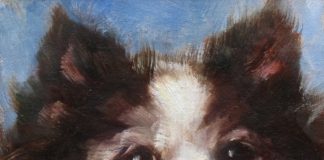 How to paint dog portraits - Johanne Mangi - Georgie