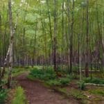 Joe Paquet, plein air artist