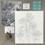 Plein Air Studies - Associated Women in the Arts