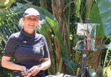 Fallbrook Art Association Announces Winners Plein air landscape painting - OutdoorPainter.com
