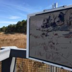 Outdoor Painters Spotlight: Plein Air Unleashed Plein Air Unleashed - OutdoorPainter.com