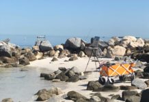 The Joys (and Perils) of Painting at the Beach Plein air painting at the beach