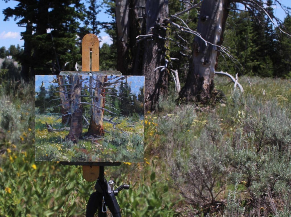 Landscape painting setup of Wes Newton - OutdoorPainter.com