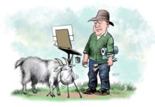 The Funny, the Odd, and the Downright Bizarre! Funny plein air stories - OutdoorPainter.com
