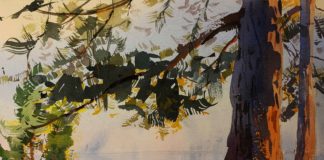 Plein air paintings - OutdoorPainter.com