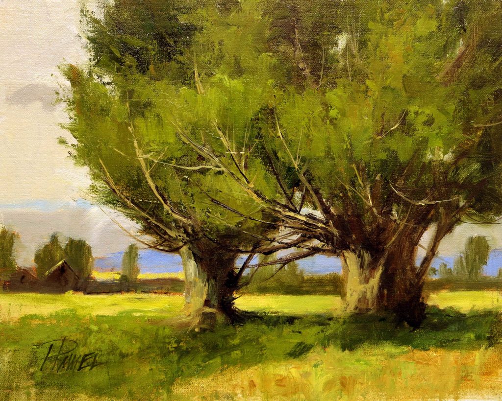 Landscape Painting Advice - Peggy Immel - OutdoorPainter.com