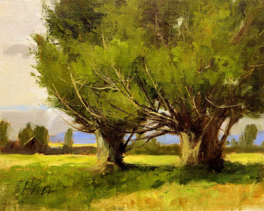 Landscape Painting Advice - Peggy Immel - OutdoorPainter.com